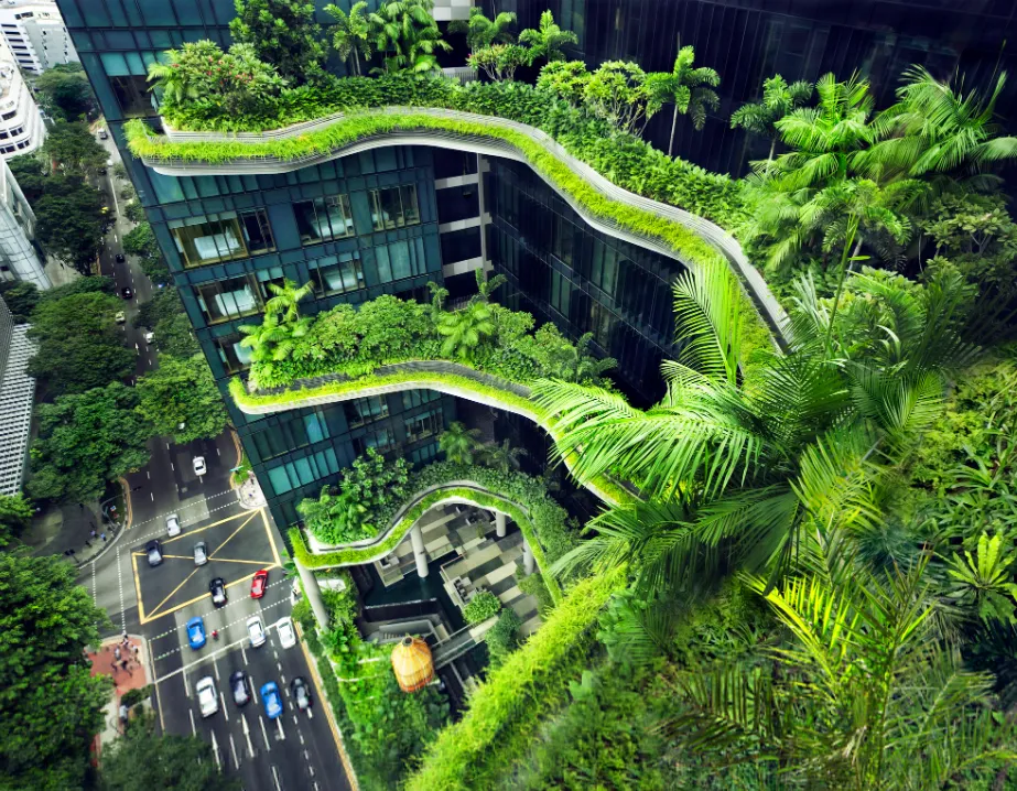 The Green Shift Exploring Eco-Friendly Developments in Singapore