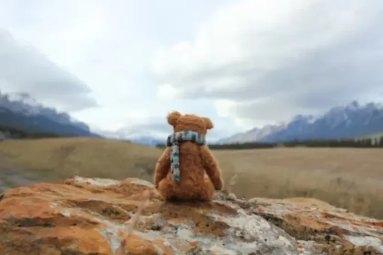Personalized Teddy Bears Canada A Better Approach to Corporate Gifts That Last